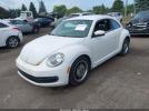 Volkswagen Beetle 2.5l Image 11