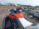 Sea-Doo Seadoo Image 3