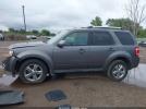 Ford Escape Limited Image 8