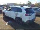 Jeep Cherokee Altitude Fwd Image 7