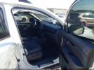 Honda Passport Elite Image 8