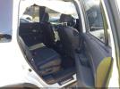 Honda Passport Elite Image 6