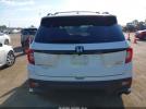 Honda Passport Elite Image 13