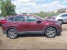 Honda CR-V Ex-l Image 6