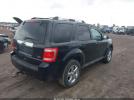Ford Escape Limited Image 10