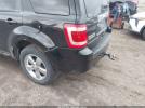 Ford Escape Limited Image 11
