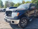 Ford F-150 Xlt Image 12