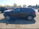 Ford Edge Sel Image 4