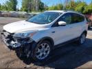 Ford Escape Titanium Image 3