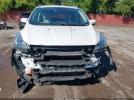 Ford Escape Titanium Image 4
