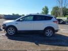 Ford Escape Titanium Image 2