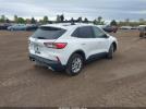 Ford Escape Se Image 5