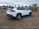 Toyota RAV4 Le Image 6