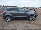 Ford Escape Titanium Image 15