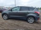 Ford Escape Titanium Image 14