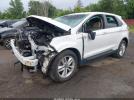 Ford Edge Sel Image 3
