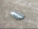 Ford Fusion Se Image 17