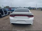 Dodge Charger Image 13