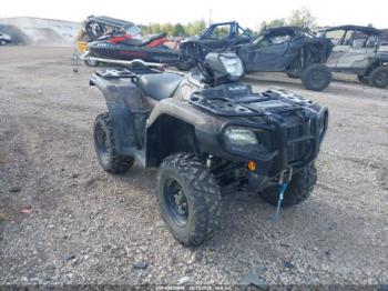  Salvage Honda Trx520