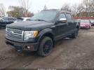 Ford F-150 Platinum Image 7