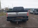 Ford F-150 Platinum Image 3