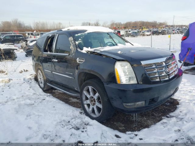 Cadillac Escalade Standard Image 1