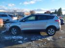 Ford Escape Se Image 15