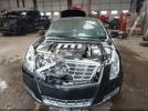 Cadillac XTS Premium Image 8