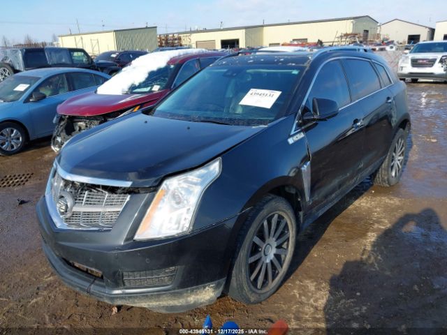 Cadillac SRX Luxury Collection Image 2