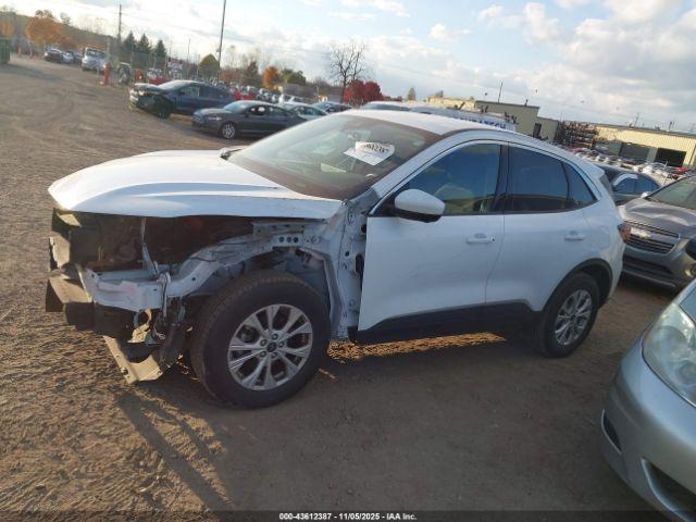 Ford Escape Active Image 11