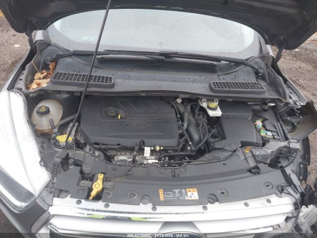 Ford Escape Se Image 9