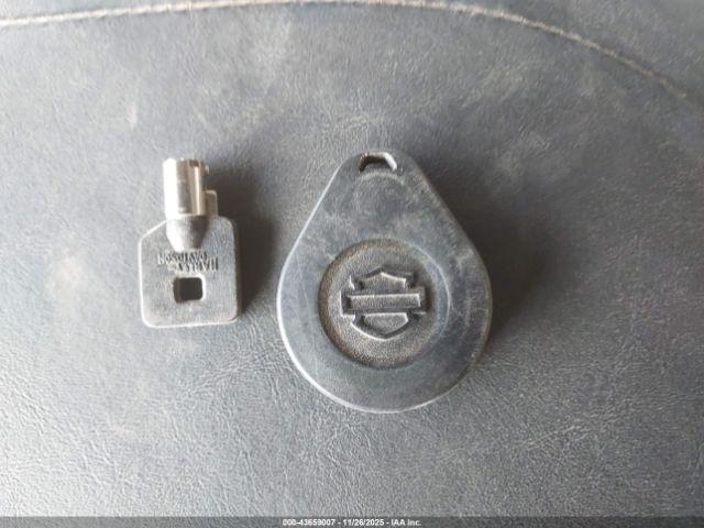 Harley-Davidson Fltrk Image 13