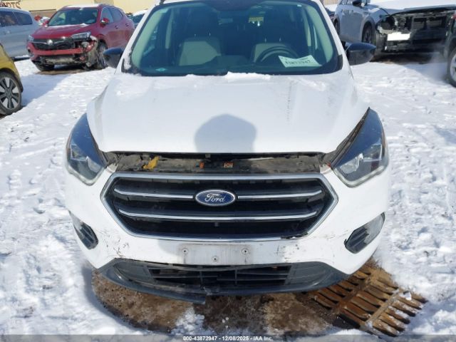 Ford Escape Se Image 11