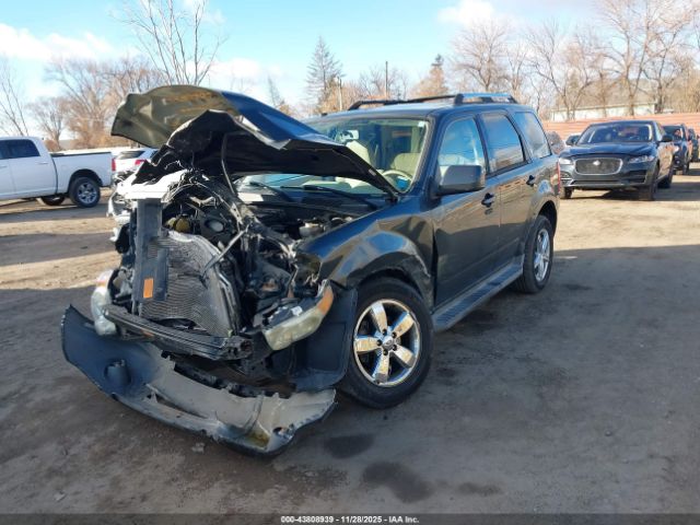 Ford Escape Limited Image 3