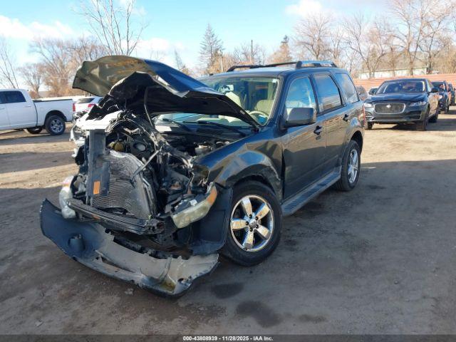 Ford Escape Limited Image 3