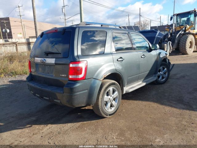 Ford Escape Limited Image 5