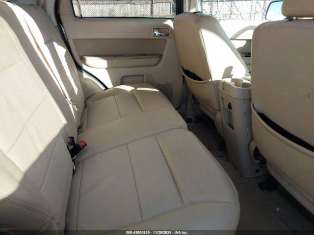 Ford Escape Limited Image 7