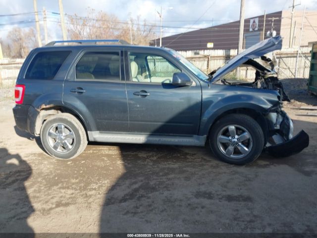 Ford Escape Limited Image 13