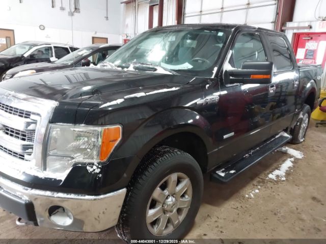 Ford F-150 Xlt Image 3