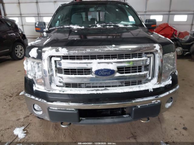 Ford F-150 Xlt Image 6