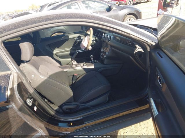 Ford Mustang V6 Image 3