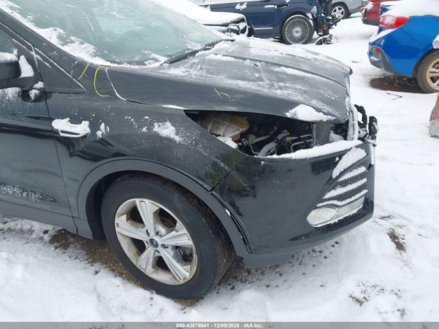 Ford Escape Se Image 11