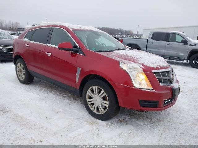 Cadillac SRX Luxury Collection Image 1