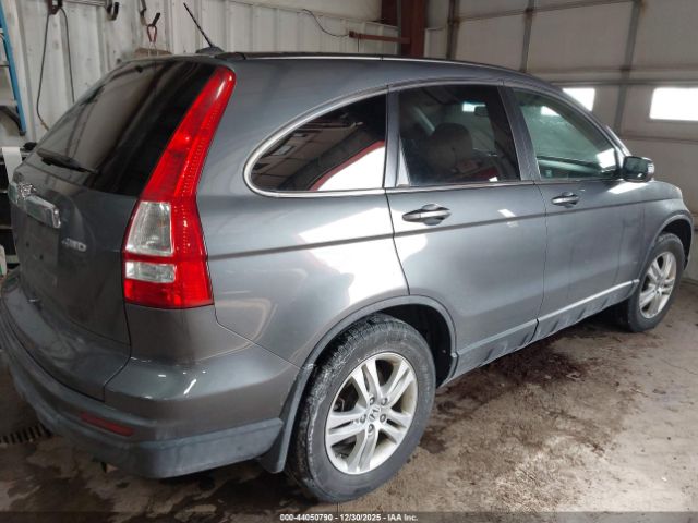 Honda CR-V Ex-l Image 5