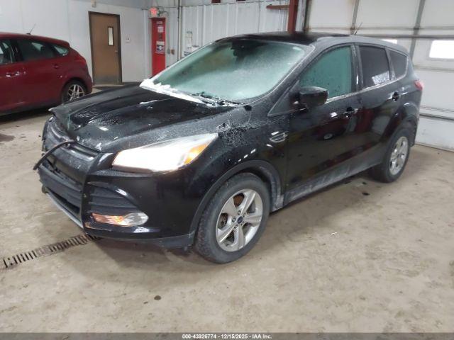 Ford Escape Se Image 3