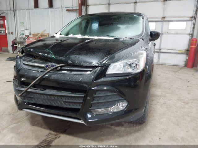 Ford Escape Se Image 16