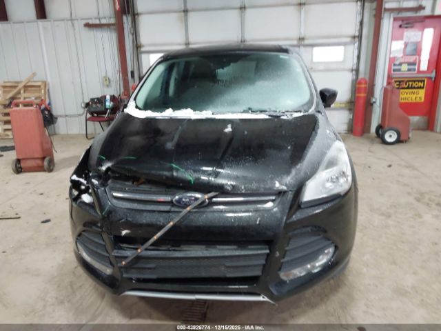 Ford Escape Se Image 6