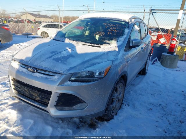 Ford Escape Titanium Image 10