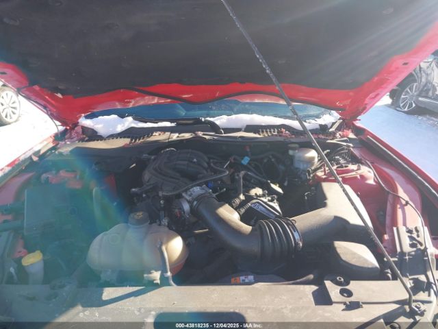 Ford Mustang V6 Image 9