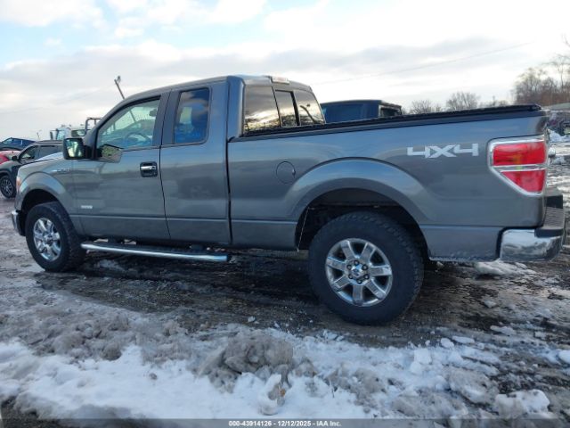 Ford F-150 Xlt Image 2
